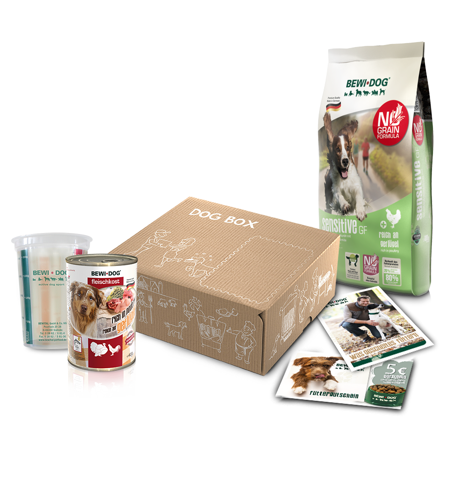 Willkommenspaket Katze Willkommenspaket Katze