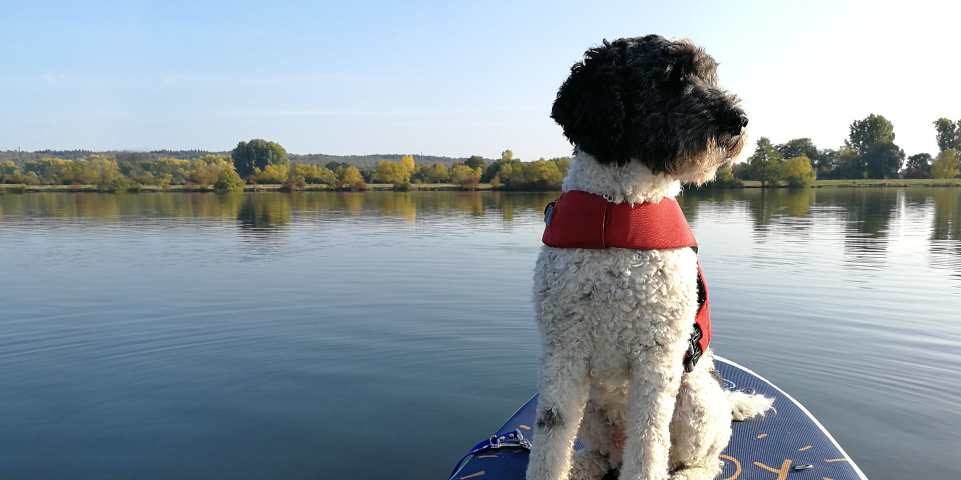 stand-up-paddling-Smartie-auf-Tour stand-up-paddling-Smartie-auf-Tour